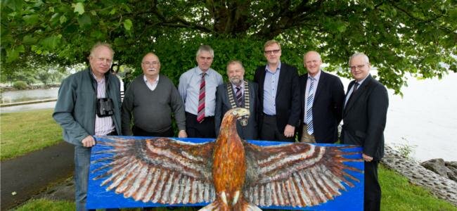 Photo: Irish White-tailed Sea Eagle project.